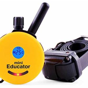 ET-300TS-Mini-Educator-E-Collar